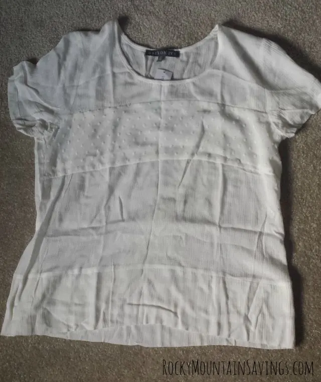 Brixon Ivy Glenn Swiss Dot Panel Top - Stitch Fix #6