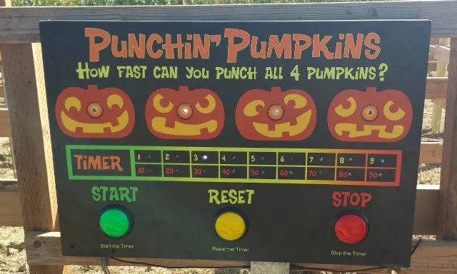 Punchin Pumpkins