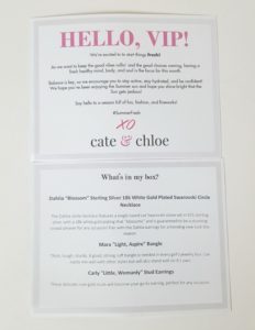 Cate & Chloe VIP Jewelry Unboxing July 2016