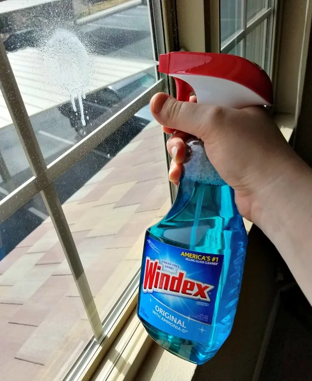 5 Simple Ways to Brighten Your Living Room (with Windex®)